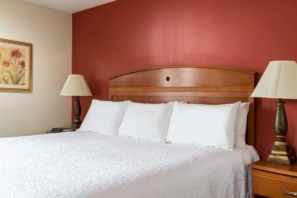 Hampton Inn By Hilton Youngstown-West I-80 ミネラルリッジ  部屋 写真